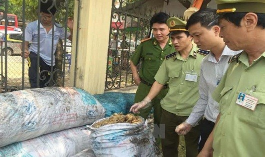 Lực lượng chức năng Thanh Hóa bắt giữ lô hàng mỡ động vật đã qua sơ chế không có giấy tờ hợp pháp.