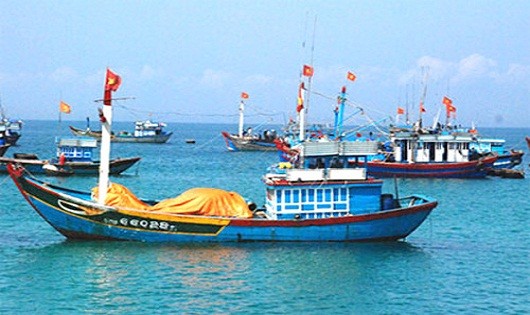Thủ tục đăng ký lại tàu biển Việt Nam như thế nào?