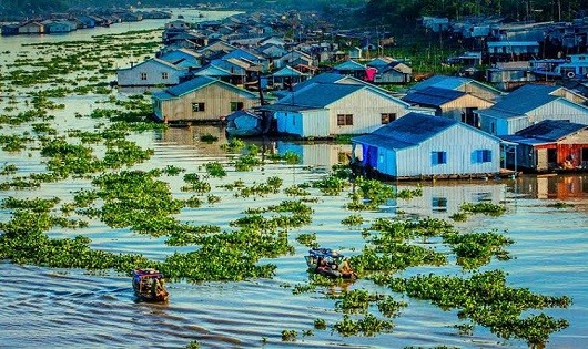 Kỳ thú làng nổi  trên sóng nước Hậu Giang