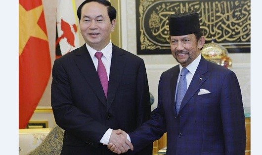 Chủ tịch nước Trần Đại Quang và Quốc vương Brunei tại cuộc hội kiến