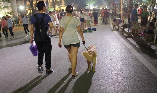 Bức ảnh gây tranh cãi có nên dắt chó lớn đi dạo ngoài đường mà không rọ mõm?