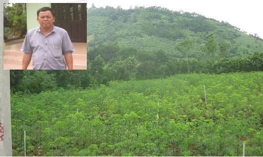 Đồi Bể Bạc và ông Hoàng Tham - người tiên phong thành lập HTX trồng rau an toàn.  