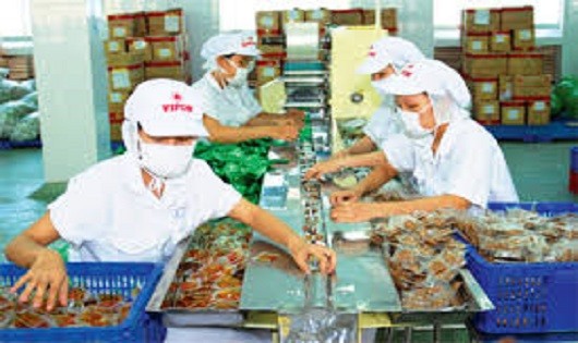 Nông sản Việt đón đầu FTA Việt Nam – EU: Tập trung tháo gỡ vướng mắc về an toàn  vệ sinh thực phẩm