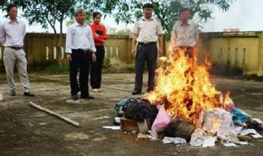 Thi hành án dân sự tỉnh Hà Tĩnh tiêu hủy tang vật các vụ án.