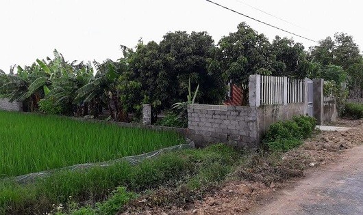 Huyện An Lão (TP Hải Phòng):  Điều tra hình sự vụ phân lô,  bán đất nền trái phép ở xã Tân Viên 