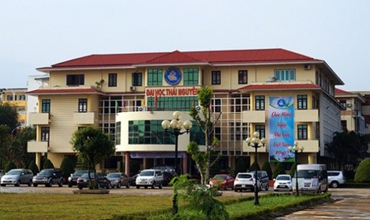 Đại học Thái Nguyên, hạt nhân của ngành giáo dục - đào tạo 