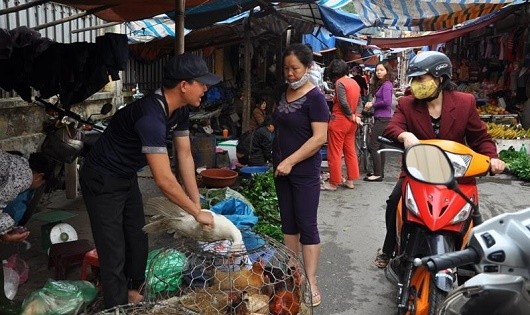 Những cảnh mua bán gia cầm sống như thế này có thể bắt gặp ở hầu hết các chợ ở Hà Nội.