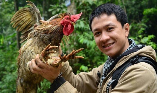 Việc xây dựng phát triển mô hình chăn nuôi gà 9 cựa không những giúp bảo tồn giống gà quý mà còn mang lại nguồn thu nhập ổn định của người dân địa phương.
