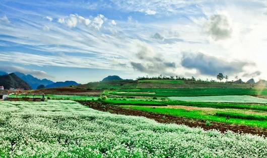 Vẻ đẹp nao lòng của thiên nhiên ở Việt Nam