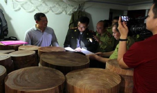 Hà Giang: Bắt giữ gần 1.200 khúc gỗ nghiến dạng thớt
