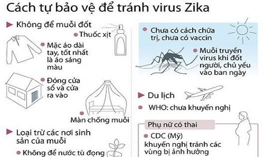 Hà Nội: Chưa phát hiện trường hợp mắc các bệnh do vi rút Zika