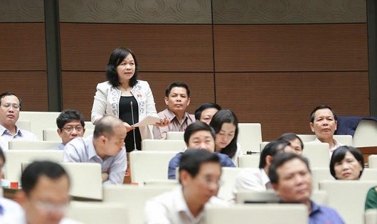 ĐB Nguyễn Thị Mai Hoa (Đồng Tháp) phát biểu tại QH.