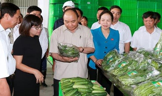 Thủ tướng Chính phủ Nguyễn Xuân Phúc thăm Dự án phát triển nông nghiệp ứng dụng công nghệ cao Vineco tại huyện Vĩnh Bảo, Hải Phòng.