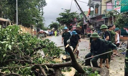 Giúp người dân dọn cây đổ sau bão.