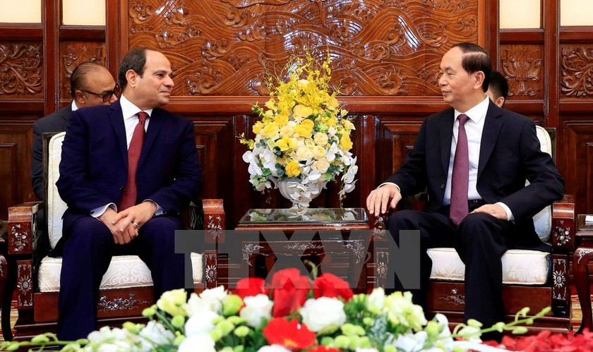 Chủ tịch nước Trần Đại Quang hội đàm hẹp với Tổng thống Abdel Fattah Al Sisi sau lễ đón. (Ảnh: Nhan Sáng/TTXVN)