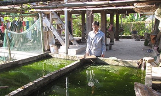 Anh Khoàng Văn Chun bên mô hình nuôi cá trê phi cao sản thoát nghèo.