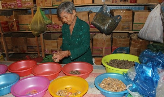Má Năm phụ giúp hốt thuốc Nam cho người nghèo.