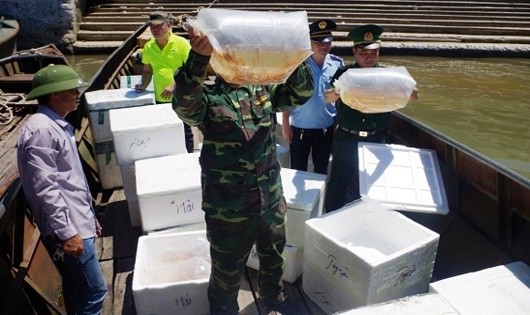 Bắt giữ 3 vụ nhập lậu cá các loại từ Trung Quốc vào Việt Nam