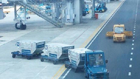 Cảng hàng không Quốc tế nội Bài thông tin vụ nhân viên vệ sinh tử vong