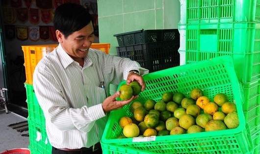 “Tôi tạo được thương hiệu riêng của mình ở các chợ đầu mối trái cây vì vậy khách hàng rất tin tưởng, yên tâm về chất lượng”, ông Phong chia sẻ.