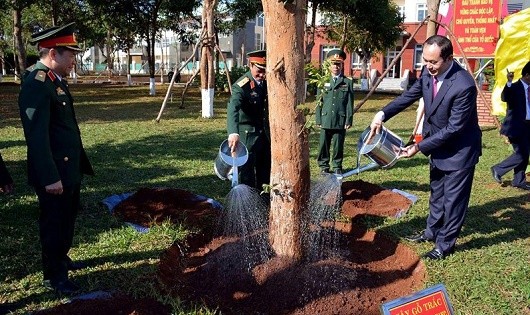 Chủ tịch nước trồng cây lưu niệm tại Quân đoàn 3.