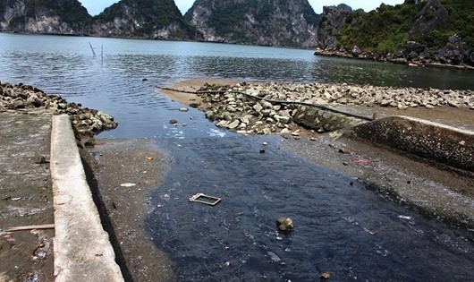 Nước thải ô nhiễm vẫn tiếp tục chảy xuống “tài sản đặc biệt” Vịnh Hạ Long.