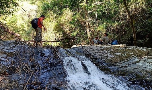 Những tình nguyện viên tổ chức vào rừng tìm kiếm Thi An Kiện. Ảnh: Bảo Lê