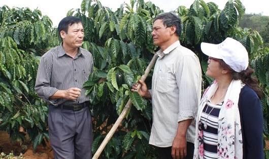 Tỷ phú cà phê trên cao nguyên Đắk Hà