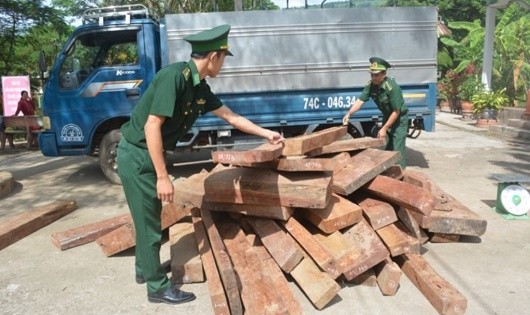 Bộ đội Biên phòng bắt giữ một vụ vận chuyển gỗ lậu.