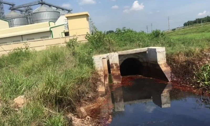 Lượng dầu thành phẩm bị rò rỉ chảy ra ngoài mương nước khiến người dân cho rằng Nhà máy chiết xuất Dầu thực vật Dabaco xả thải ra ngoài môi trường.