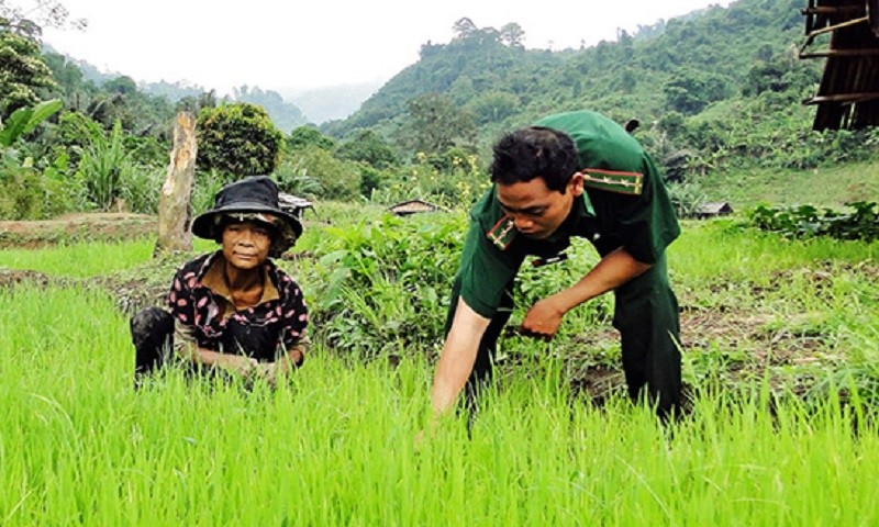 Trung úy Coor Trung hướng dẫn dân làng Pêtapoóc làm lúa nước. 