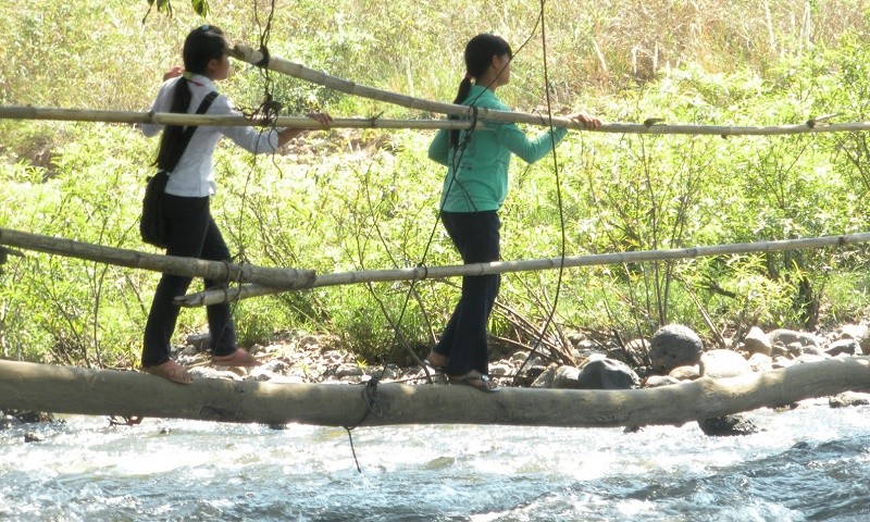 Học sinh run rẩy khi qua cây cầu khỉ. Ảnh: Nguyễn Ngọc Tú.