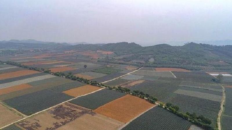 TTCP chỉ ra hàng loạt sai phạm trong việc quản lý, sử dụng đất có nguồn gốc từ nông, lâm trường tại tỉnh Ninh Bình (Ảnh: Vietnam+)