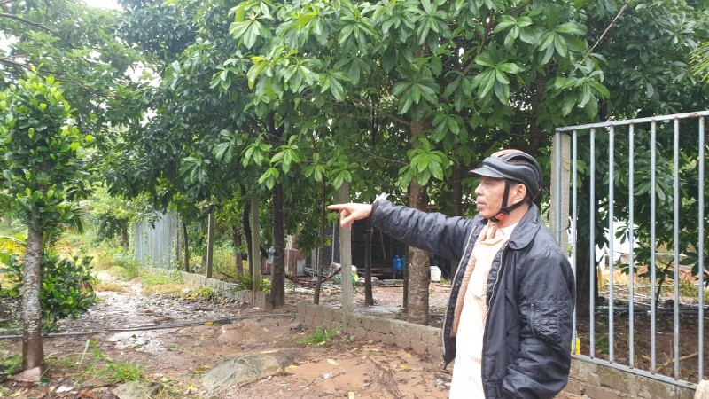 Ông Nguyễn Văn Út (trú tại ấp Suối Lớn, xã Dương Tơ, huyện Phú Quốc, tỉnh Kiên Giang) đang chỉ phần đất mà bà C đã mua