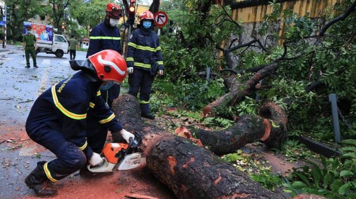 Cơ quan chức năng tiến hành cắt dọn cây cổ thụ đổ trên phố Lý Thường Kiệt, Hà Nội