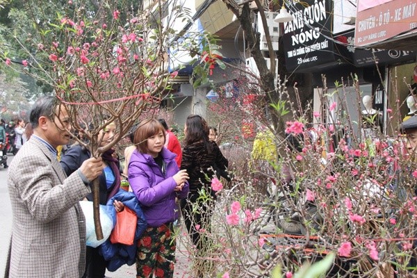 51 điểm chợ hoa xuân phục vụ người Hà Nội dịp Tết Canh Tý 