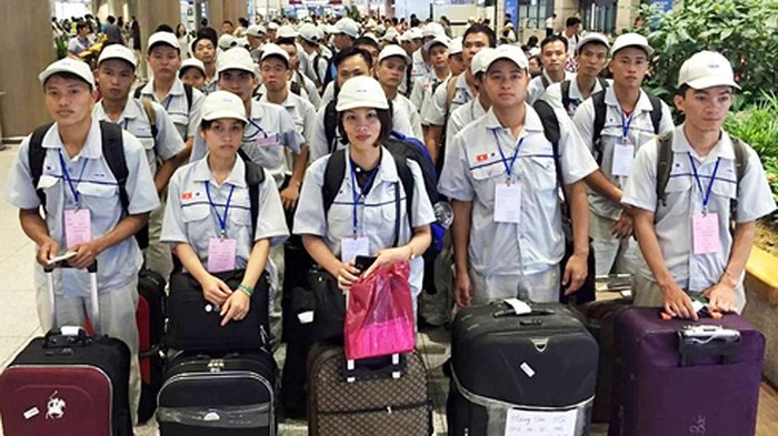VN đã và đang thể hiện cam kết của mình trong việc ngăn chặn cưỡng bức lao động đối với lĩnh vực lao động Việt Nam đi làm việc ở nước ngoài (ảnh minh họa)