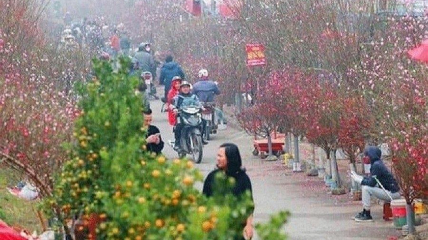 Có 78 điểm chợ hoa xuân phục vụ Tết Nguyên đán Nhâm Dần 2022 tại Hà Nội (ảnh minh họa)