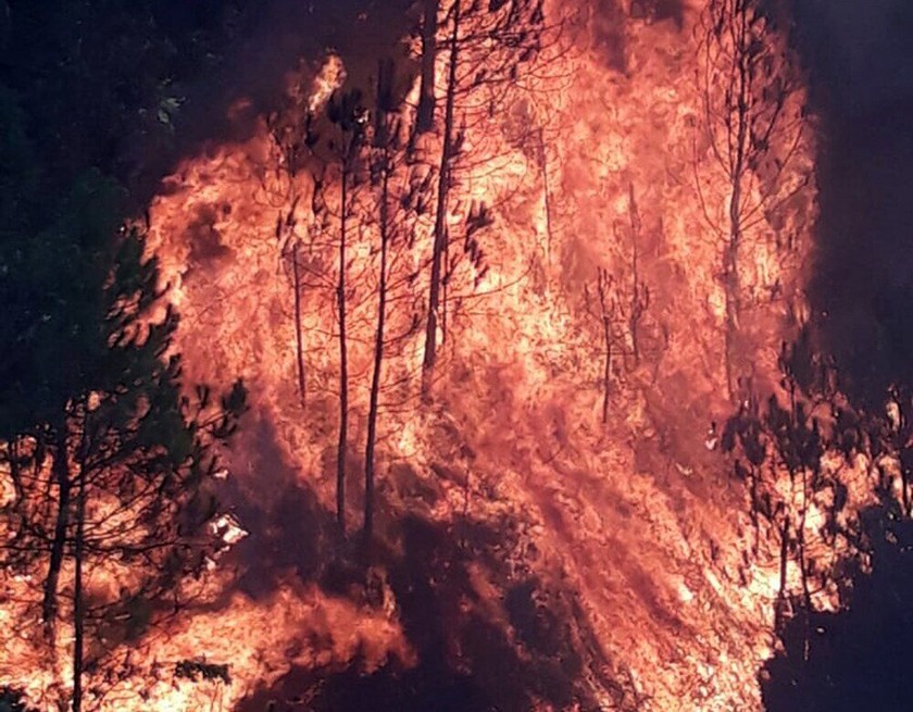 Hiện trường cháy rừng ở Diễn Châu