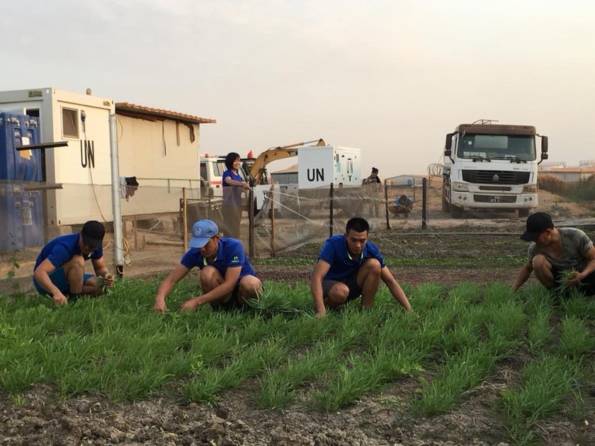 Chuyện bộ đội Việt Nam gieo mầm xanh trên đất cằn Nam Sudan