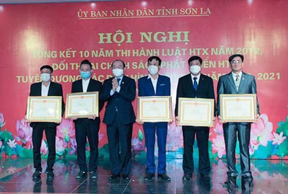 Ông Nguyễn Ngọc Bảo, Chủ tịch Liên minh HTX Việt Nam trao Bằng khen cho các tập thể, cá nhân.