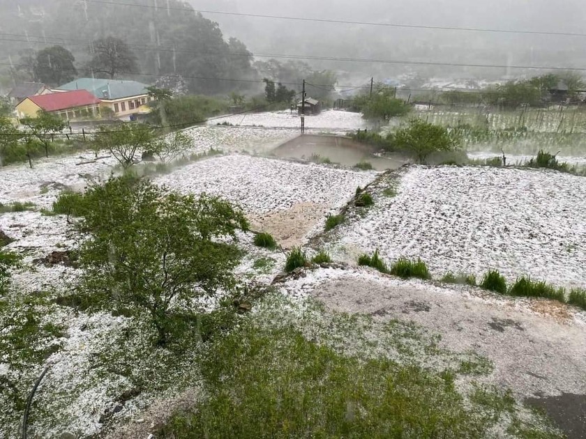 Trận mưa đá lớn trắng xóa cả một vùng ở Sơn La.