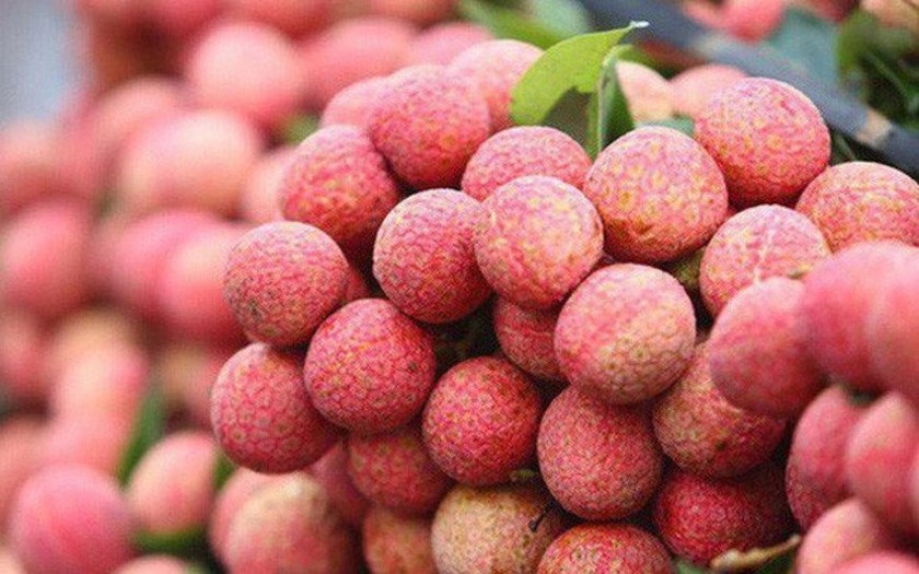 Hoa quả là mặt hàng có thế mạnh xuất khẩu của Việt Nam