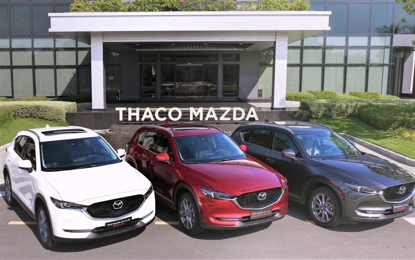 THACO là một trong 3 doanh nghiệp đang nắm giữ phần lớn thị phần ô tô Việt Nam