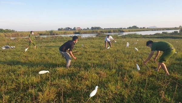 Công an xã Lộc Trì thu giữ hàng nghìn con cò giả và nhiều chiếc bẫy cò của các đối tượng giăng bắt chim tự nhiên trên địa bàn.