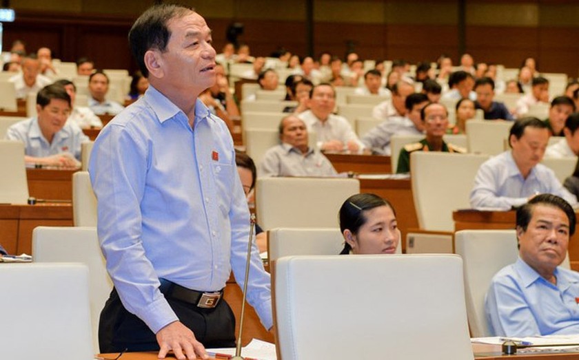 Đại biểu Quốc hội Lê Thanh Vân phát biểu tại nghị trường