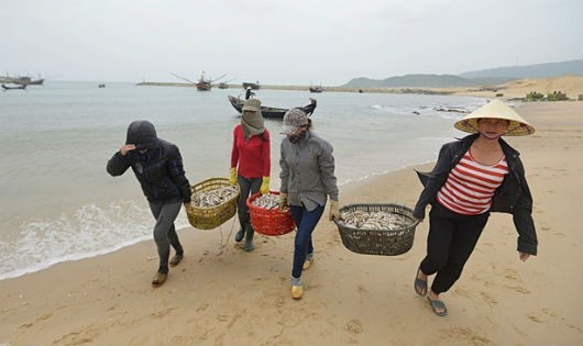 Sự cố môi trường biển do Công ty Formosa xảy ra khiến du lịch biển miền Trung thiệt hại nặng nề. 