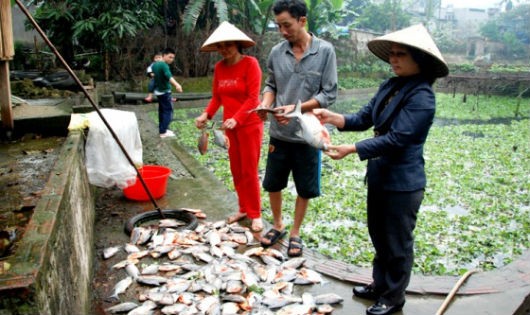 Hiện tượng cá chết bất thường tại xã Xuân Giao nghi vấn do ô nhiễm nguồn nước khiến người dân lo lắng.