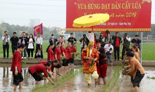 Phục dựng lễ hội Vua Hùng dạy dân cấy lúa.