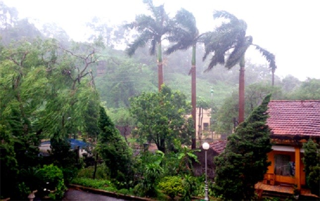 Hiện nay, tại TP Móng Cái (Quảng Ninh) đã có mưa và gió cấp 8… (Ảnh: Báo Quảng Ninh) 